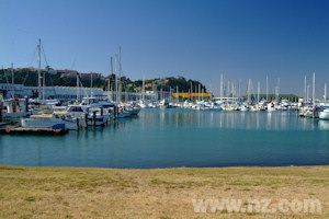 Napier Marina